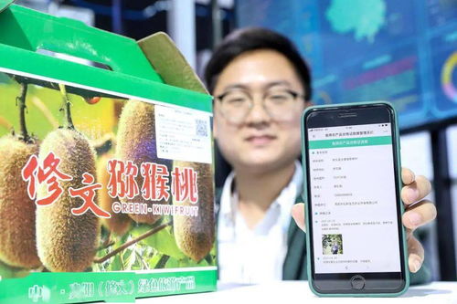 大數據賦能鄉村振興 信息技術咨詢的新路徑與新機遇